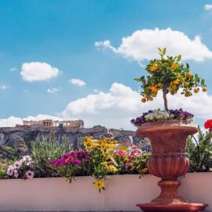 Carnal Athens - Εταιρικά Events