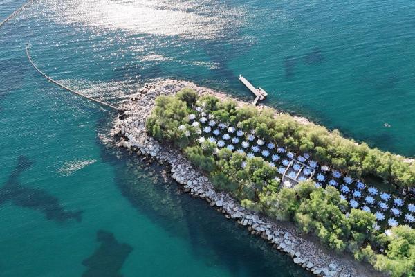 Εταιρικά Events Blue Azure- Βle Pavillon