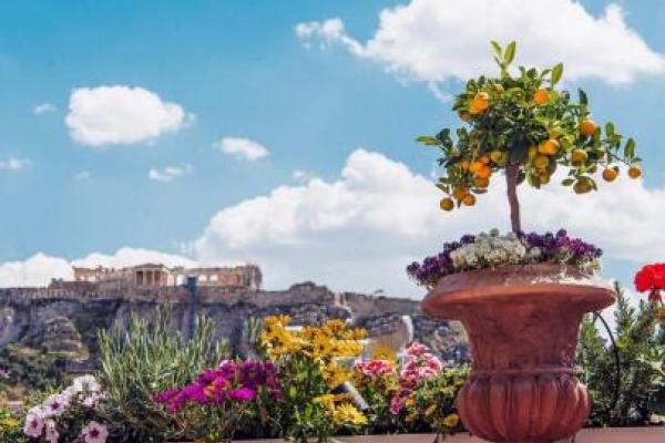 Carnal Athens - Εταιρικά Events