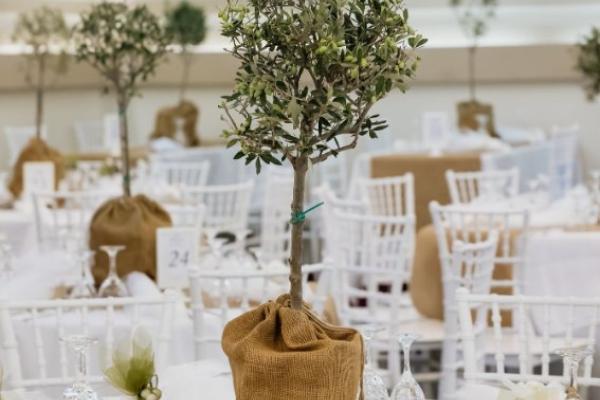 Κτήμα  Φυλλίδος Γη Εταιρικά Events Ανατολική Αττική